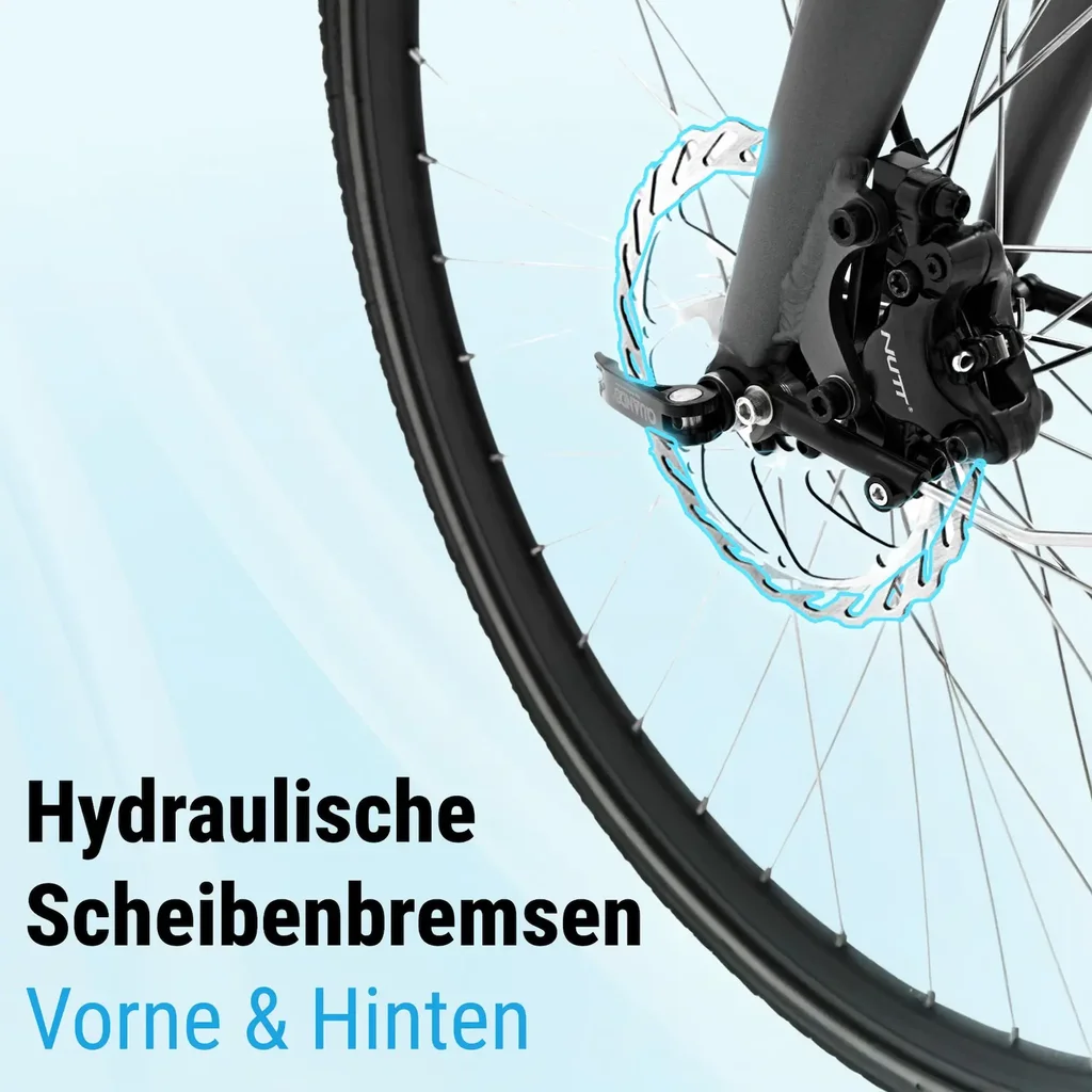 Sicheres Scheibenbremsensystem