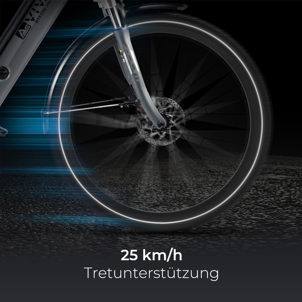 B14Grey_wheel_(1)