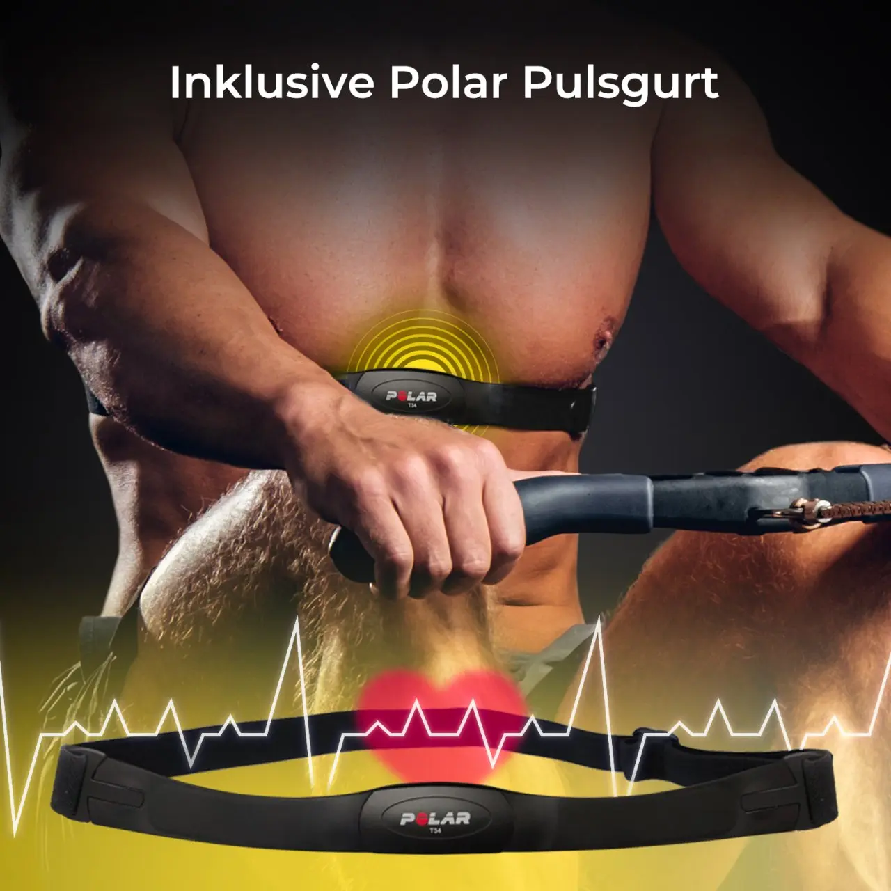 AsVIVA Rudergerät & Ergometer RA10 Pro - Produktansicht