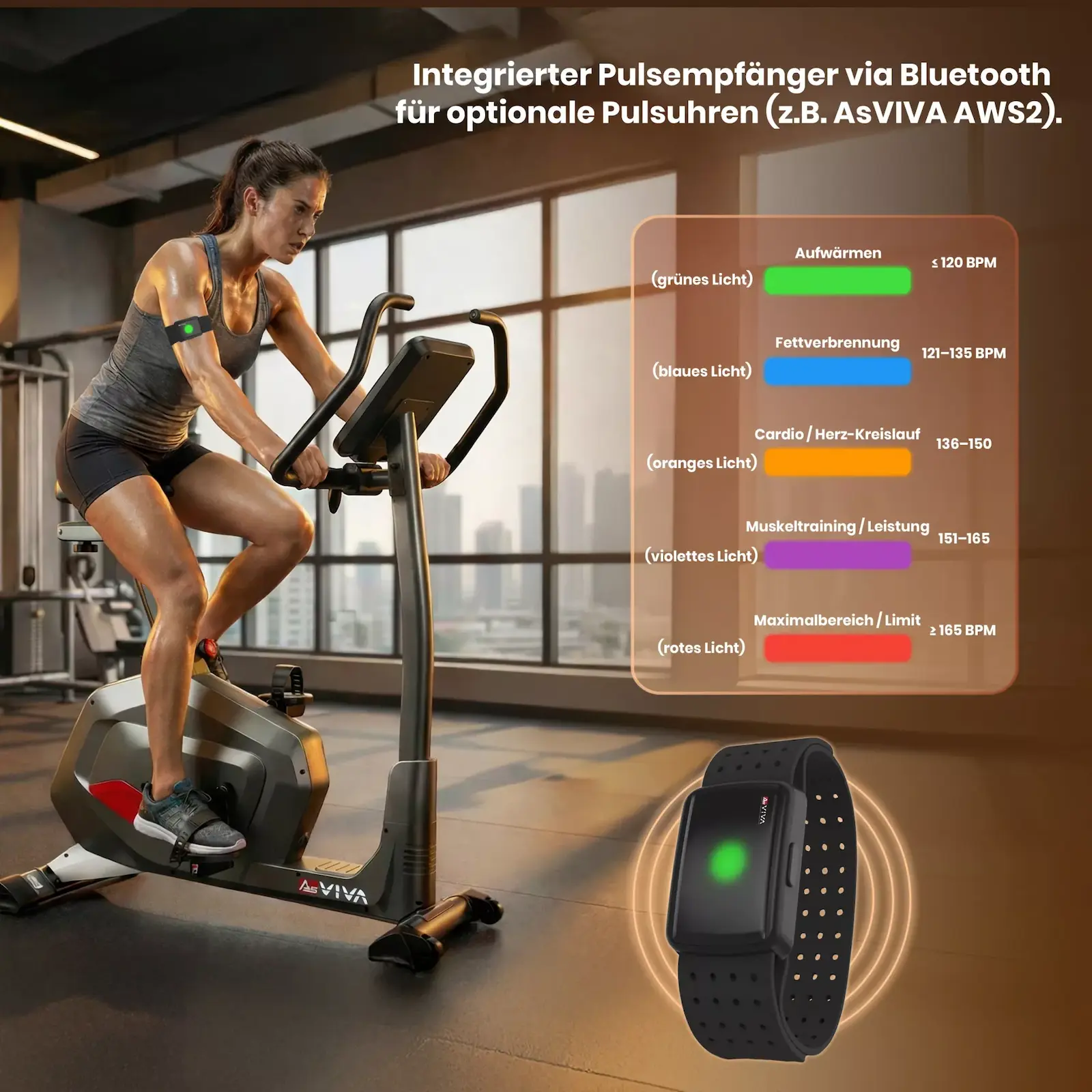 AsVIVA Ergometer Smart Fit H22 grau - Produktansicht