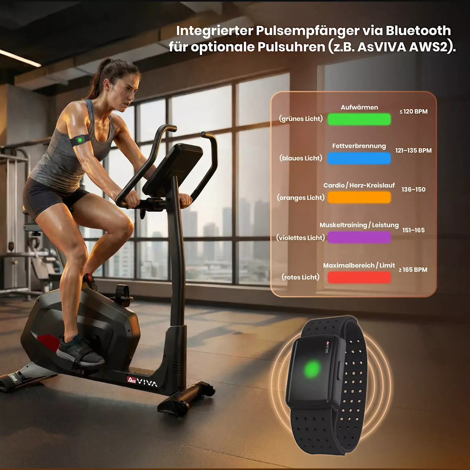 AsVIVA Ergometer Smart Fit H22 grau - Produktansicht