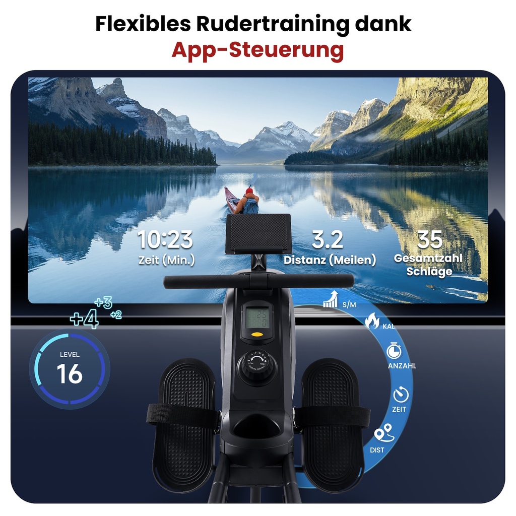 AsVIVA Rudergerät (V1) - Trainingsansicht