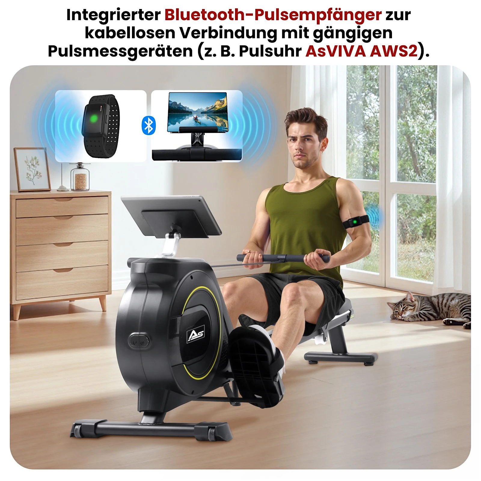 AsVIVA Rudergerät (V1) - Produktansicht