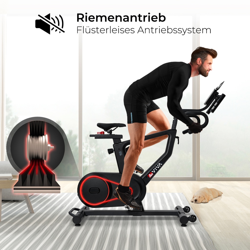 AsVIVA Speedbike Power S18 Pro - Produktansicht
