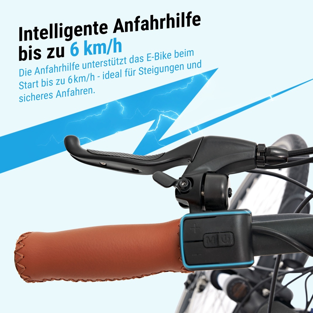 AsVIVA [B15_FBA_GB] PEDELEC - Produktansicht