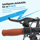 AsVIVA [B15_FBA_GB] PEDELEC - Produktansicht