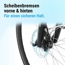 AsVIVA [B15_FBA_GB] PEDELEC - Produktansicht